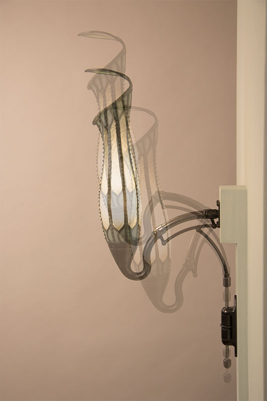 Pitcher Plant Lamp showing range of motion